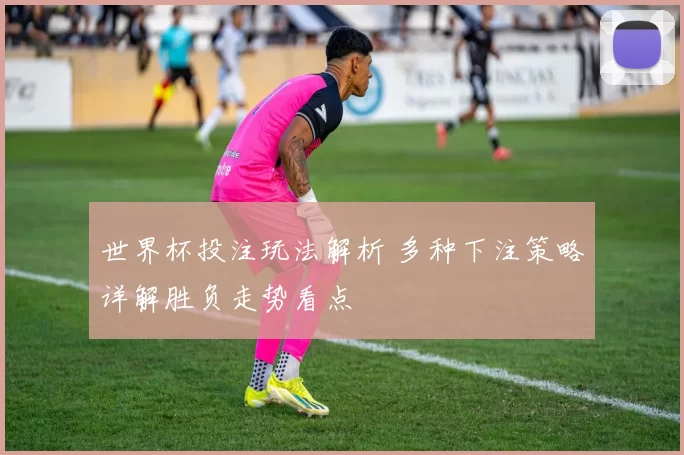 世界杯投注玩法解析 多种下注策略详解胜负走势看点
