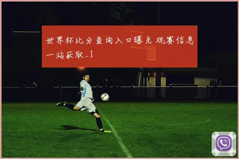 世界杯比分查询入口曝光 观赛信息一站获取_1